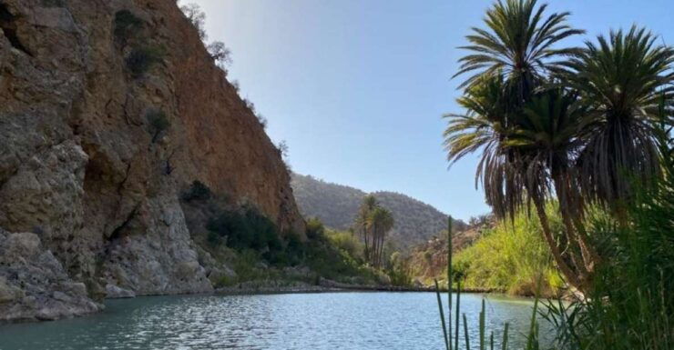 Taghazout: Tamri Half-Day Tour - Good To Know