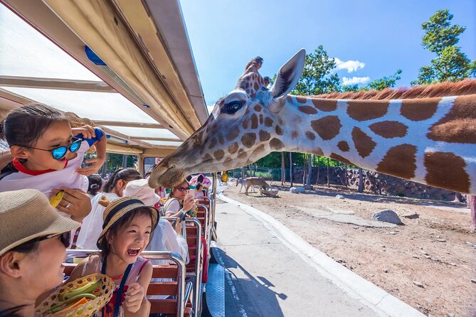 TAGTHAi Chiang Mai Day Pass: 60 Attractions, Dining, and Spa. - Cancellation Policy