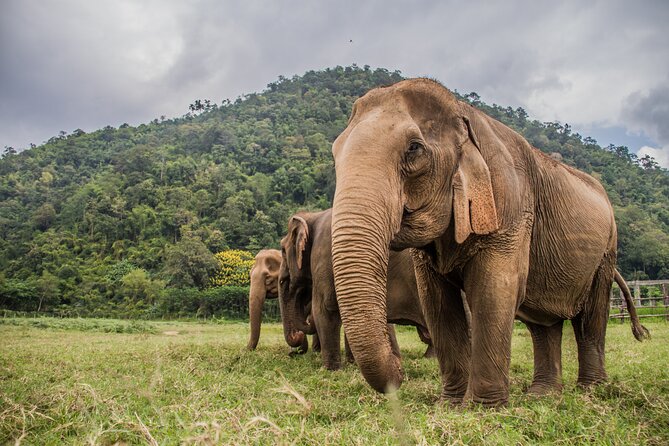 TAGTHAi Chiang Mai Pass : 90+ Attractions All You Can Enjoy - Included Attractions