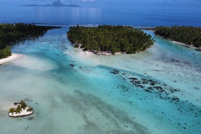 Tahaa Excursion in Electric Paddle Snorkeling Coral Garden - Why Choose This Tahaa Electric Paddle Snorkeling Tour?