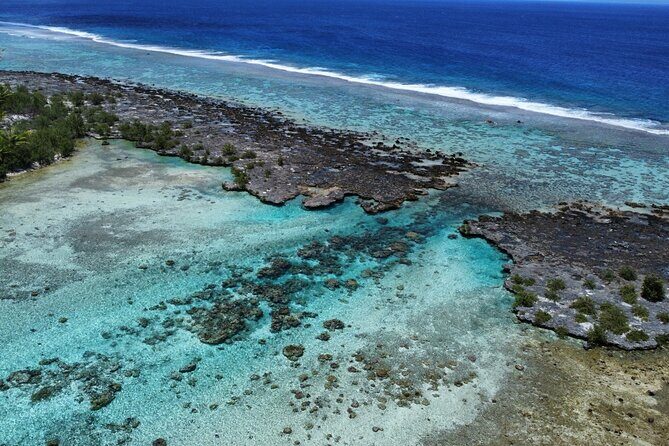 Tahaa Excursion in Electric Paddle Snorkeling Coral Garden - Who Is This Tour Best For?