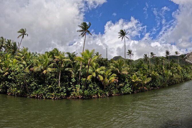 Taha'a Island or Raiatea Boat Tour - The Experience: What Travelers Say