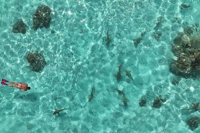 Taha'a Island or Raiatea Boat Tour - Final Thoughts