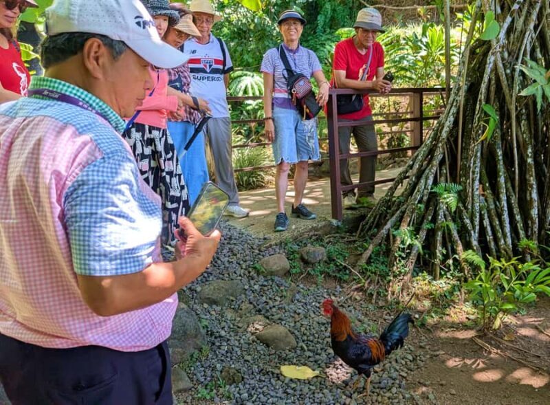 Tahiti Classical Coastal Full Day Private Tour - Detailed Breakdown of the Itinerary
