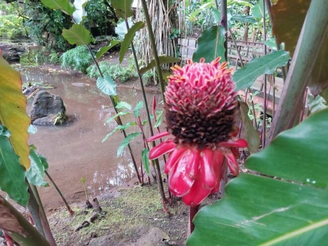 Tahiti Classical Coastal Full Day Private Tour - Booking Information