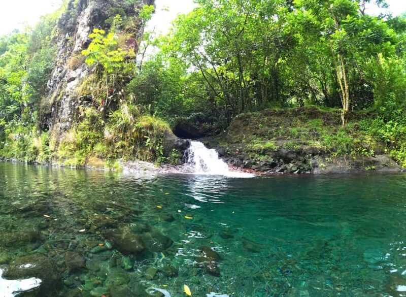 Tahiti E-bike, mtb, vtt Tour with Swimming and Lunch - An Honest Look at the Tour Experience