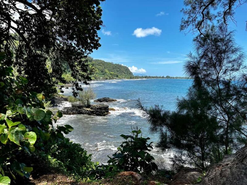 Tahiti: East or West coast tour (Half Day) - Good To Know