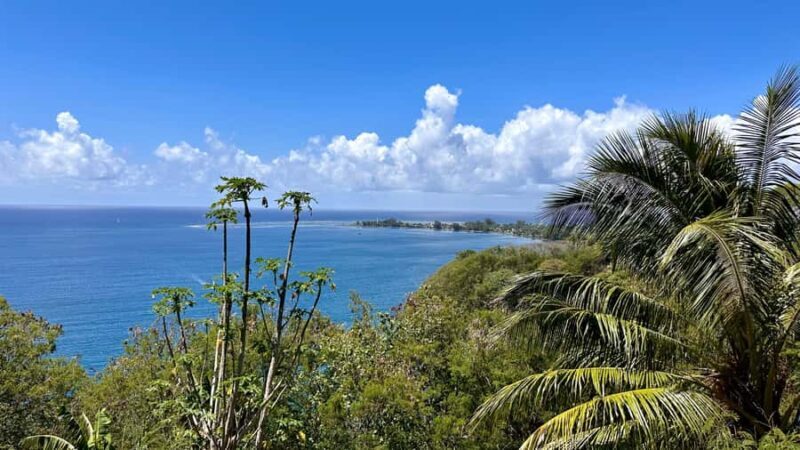 Tahiti: East or West coast tour (Half Day) - Final Thoughts on Value and Experience