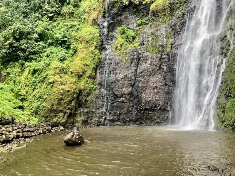 Tahiti: East or West coast tour (Half Day) - FAQ