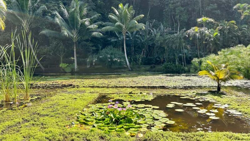 Tahiti: Full Day island tour with private jet flight (Cessna, Piper) - Who Should Consider This Tour?