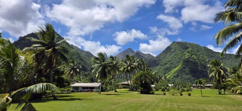 Tahiti Half Day Small Group Circle Tour - Waterfalls & Caves - Who Should Book This Tour?