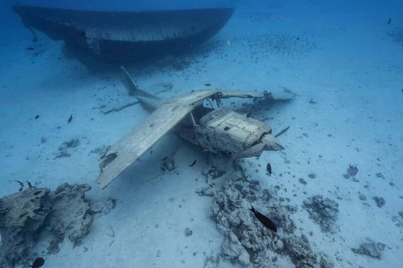 Tahiti island: 4 hours Snorkeling Tour - Good To Know