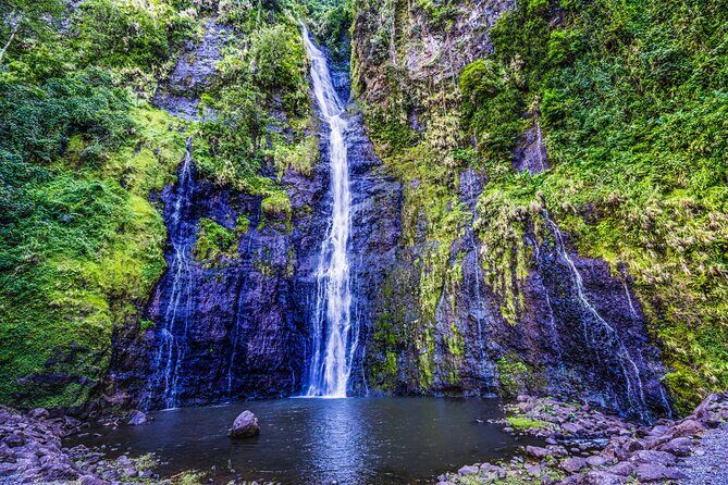 Tahiti Island Discovery  Full Day Private Shore Tour - Why This Tour Offers Real Value