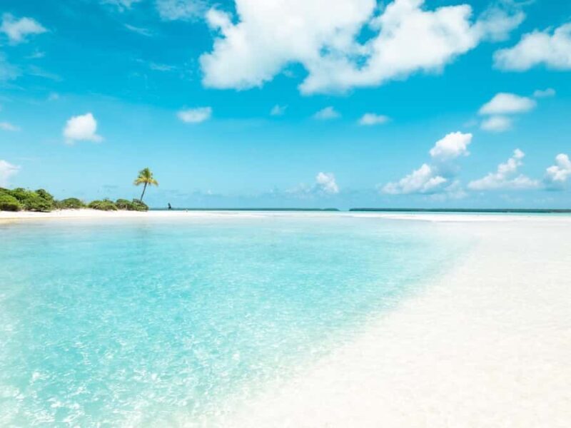 Tahiti Lagoon: 4-hour snorkeling to discover the secrets of the lagoon - What Sets This Tour Apart?