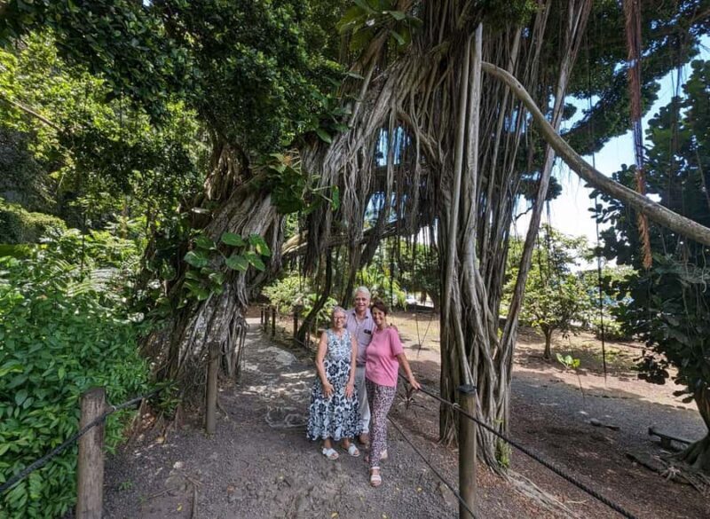 Tahiti Private Half Day Tour. Nature, history and culture - Who Should Consider This Tour?