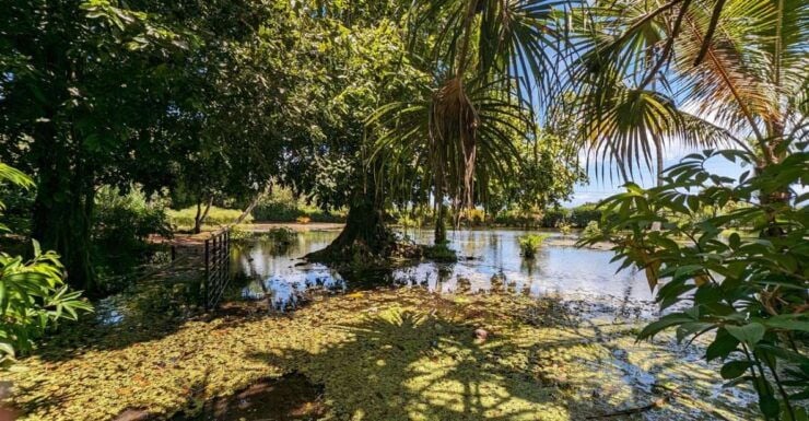 Tahiti Private Half Day Tour. Nature, History and Culture - Activity Details