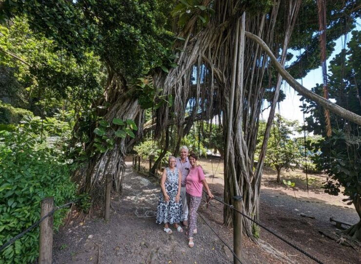 Tahiti Private Half Day Tour. Nature, History and Culture - Highlights