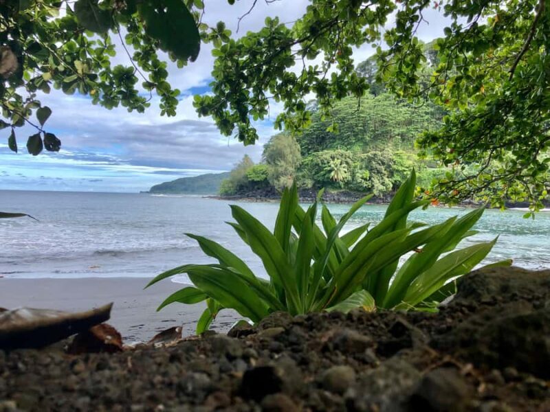 Tahiti : Tour de lîle Côte Est et Côte Ouest (Full Day) - An In-Depth Look at the Tahiti Full-Day Tour