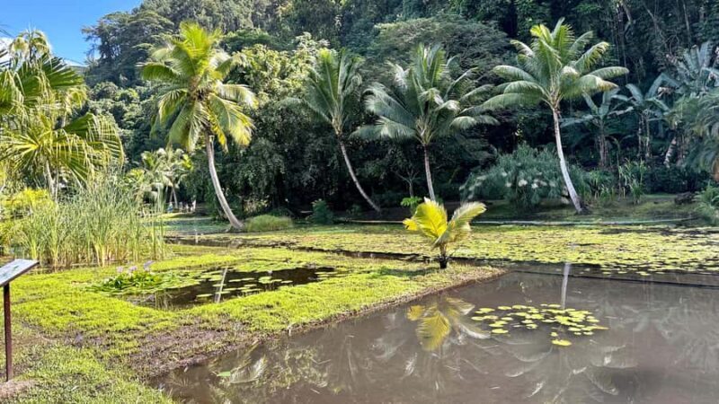 Tahiti : Tour de lîle (Full Day) avec Parapente - Good To Know