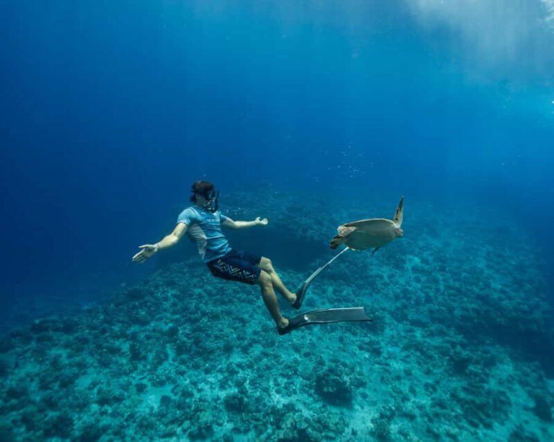 Tahiti underwater photo experience - Everlasting Memories Under the Sea: Tahiti Underwater Photo Experience Review