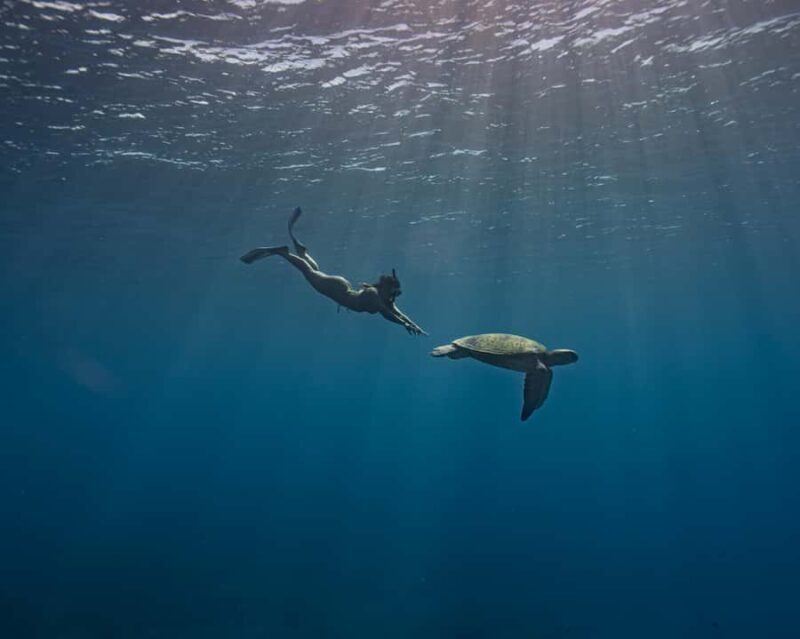 Tahiti underwater photo experience - The Itinerary in Detail