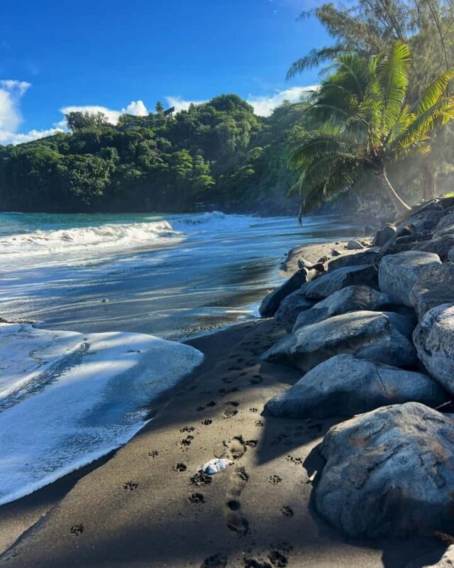Tahiti: Unique East Coast Half Day Tour with Local Guide - Good To Know