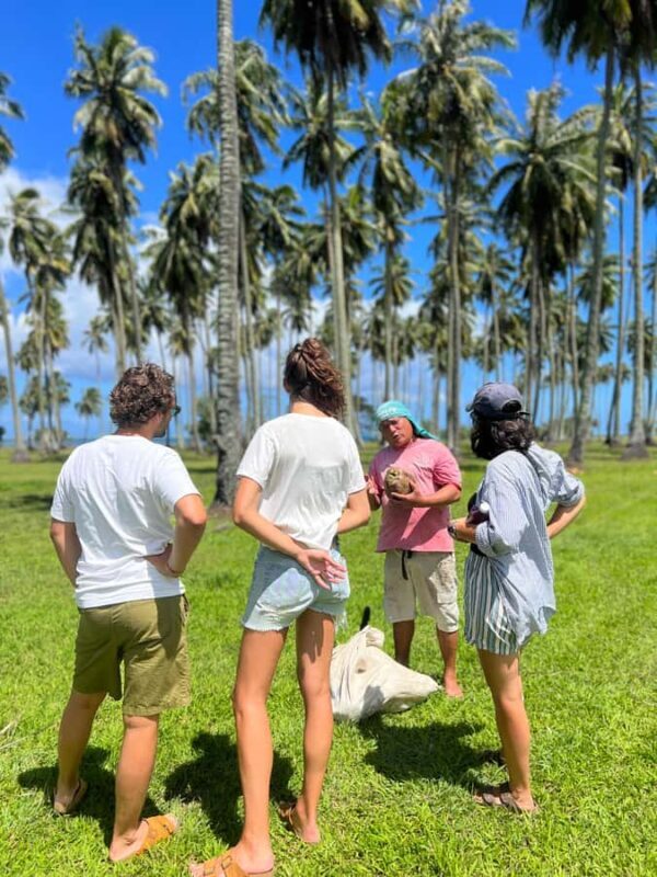 Tahiti: Unique West Coast Half Day Tour with Local Guide - Good To Know