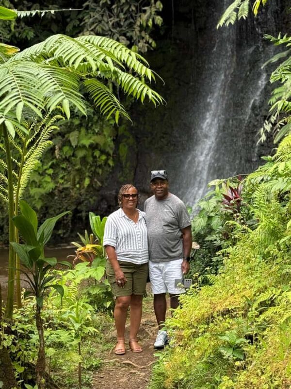 Tahiti: Unique West Coast Half Day Tour with Local Guide - The Value of This Tour