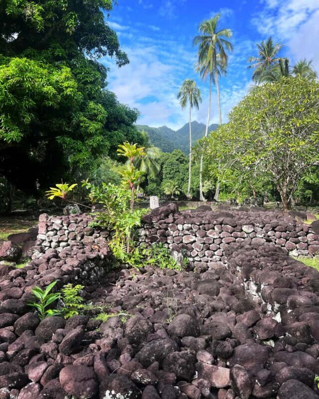 Tahiti: Unique West Coast Half Day Tour with Local Guide - The Sum Up