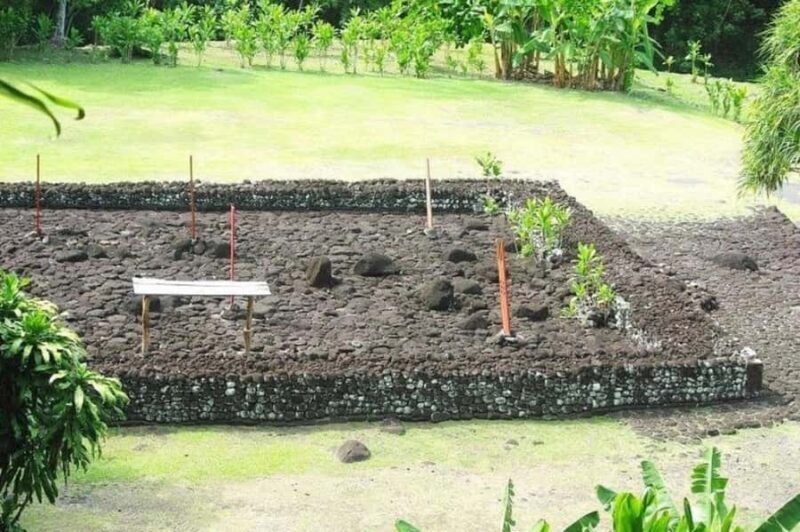 Tahiti: West and East Coast Island Tour with Waterfalls - The Value of This Tour