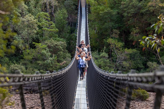 Tahune Airwalk & Hastings Cave Active Day Tour From Hobart - Tour Details