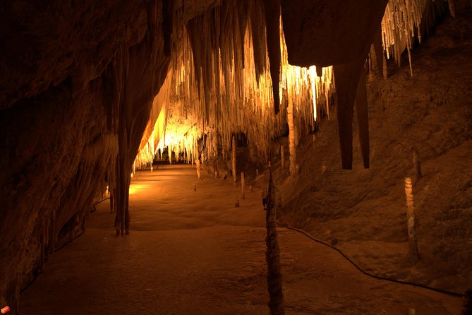 Tahune Airwalk & Hastings Cave Active Day Tour From Hobart - Positive Feedback From Travelers