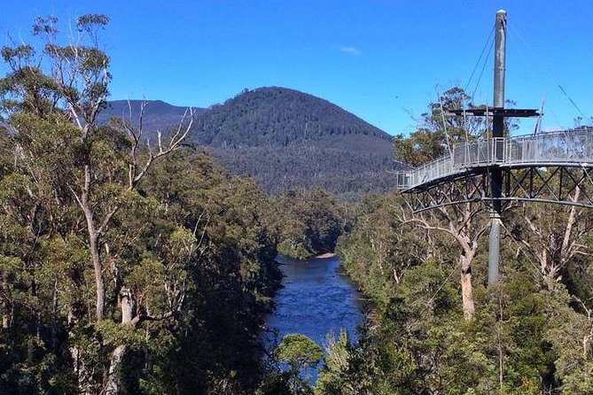 Tahune Airwalk & Hastings Cave Active Day Tour From Hobart - General Information
