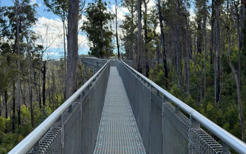 Tahune AirWalk & Hastings Caves Day Tour - Two Huon Valley attractions in one day