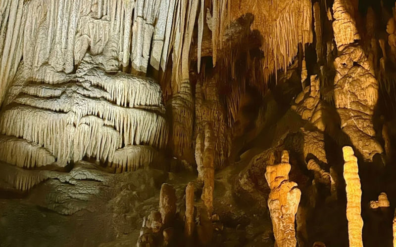 Tahune AirWalk & Hastings Caves Day Tour - The guide and transfer vehicle deserve a closer look