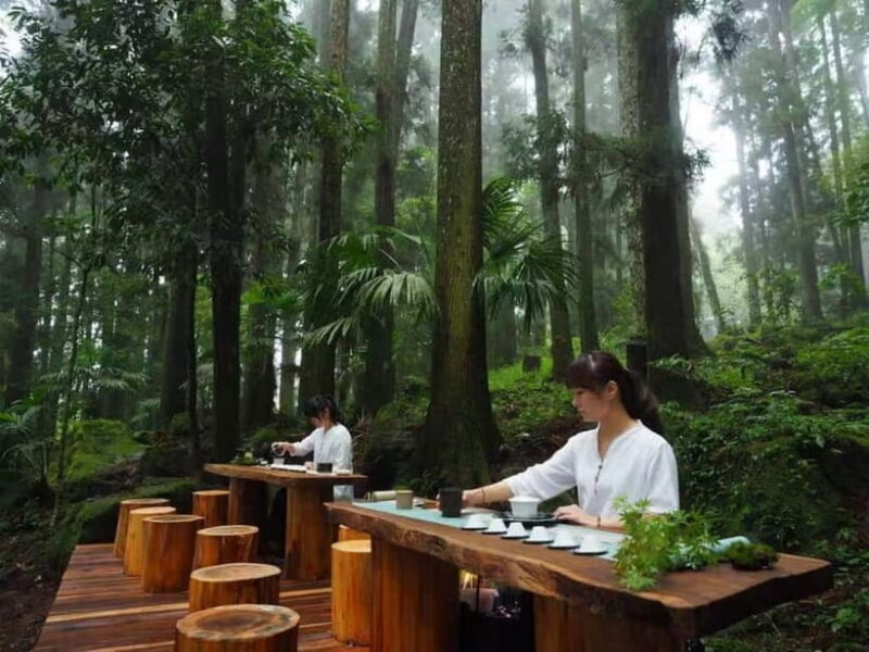 Taichung: Alishan National Scenic Area and Fenqihu Tour - Practicalities and Experience Details