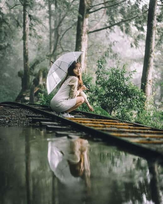 Taichung: Alishan National Scenic Area and Fenqihu Tour - The Alishan National Scenic Area Highlights