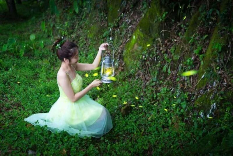 Taichung: Xitou Forest, Lukang, and Rainbow Village Tour - A Complete Look at the Tour Experience