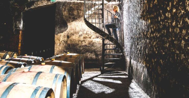 Taillan-Médoc: Château Visit and Wine Tasting in Bordeaux - Experience Highlights at Château Du Taillan