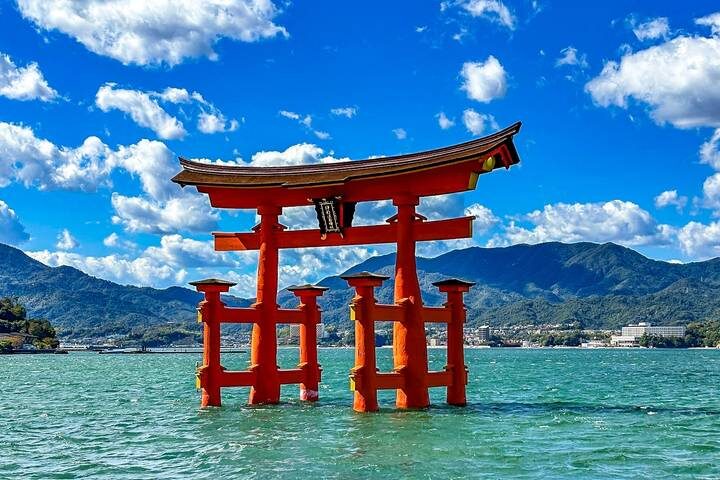 Tailor-Made 10-Day Private Japan Family Tour by Agate Travel - Tokyo to Osaka - Key things to know