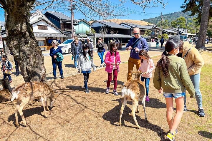 Tailor-Made 10-Day Private Japan Family Tour by Agate Travel - Tokyo to Osaka - Osaka’s market, castle, and departure