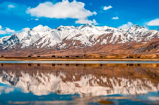 Tailor Made 8 Days Tajikistan Family Tour with Fann Mountains - Final Thoughts