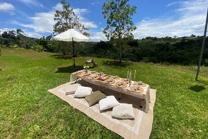 Tailor Made Luxury Picnic with Breathtaking Views - Who Will Love This Experience?