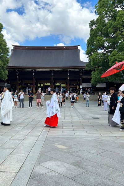 Tailored Private Tour in Tokyo by Govenment Licesed Guide - Customer Testimonials