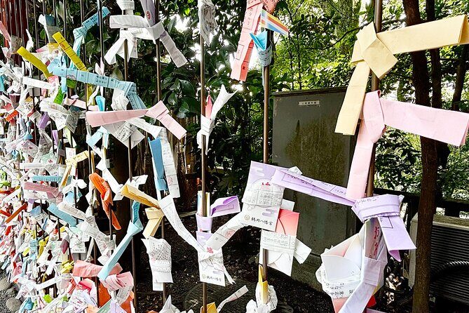 Tailored private Walking Tour in Kamakura with a Local Guide - Discovering Kamakura: A Step-by-Step Look at the Tour