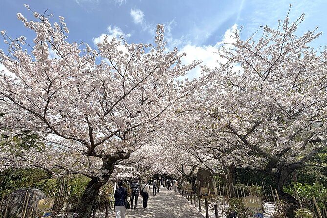 Tailored private Walking Tour in Kamakura with a Local Guide - Why Choose a Private Guided Tour in Kamakura?