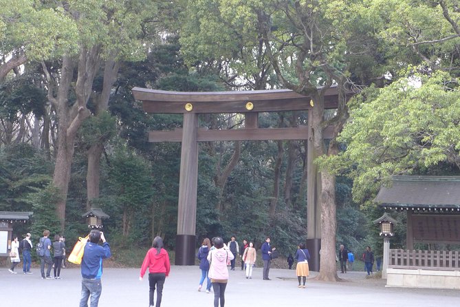 Tailored Tokyo City Tour Based on Request - Enhanced Experience Through Public Transportation
