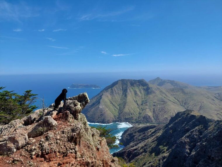 Tailored Trek: Your adventure, Your Way - Final Thoughts: Is This Tour Right for You?