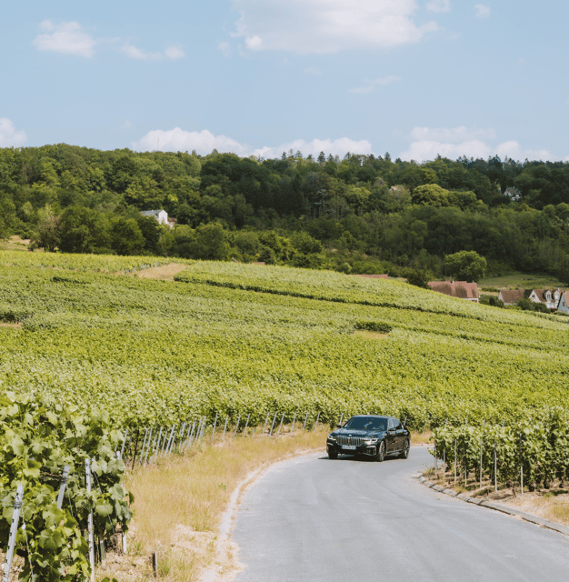 Tailormade Experience in Champagne - Tour Highlights