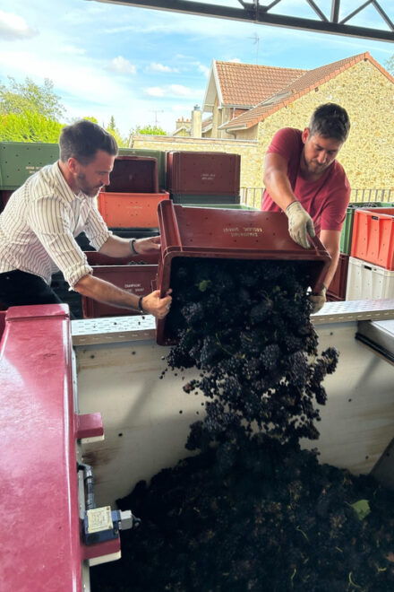 Tailormade Experience in Champagne - Inclusions